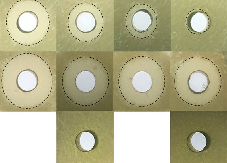 fphar-16-1639673-g001-550x550