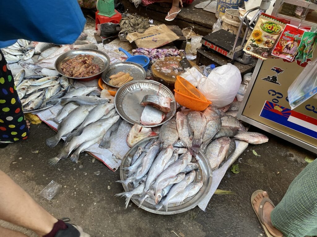 1920px-Unsanitary_Wet_Market_Chinatown_Yangon.jpg