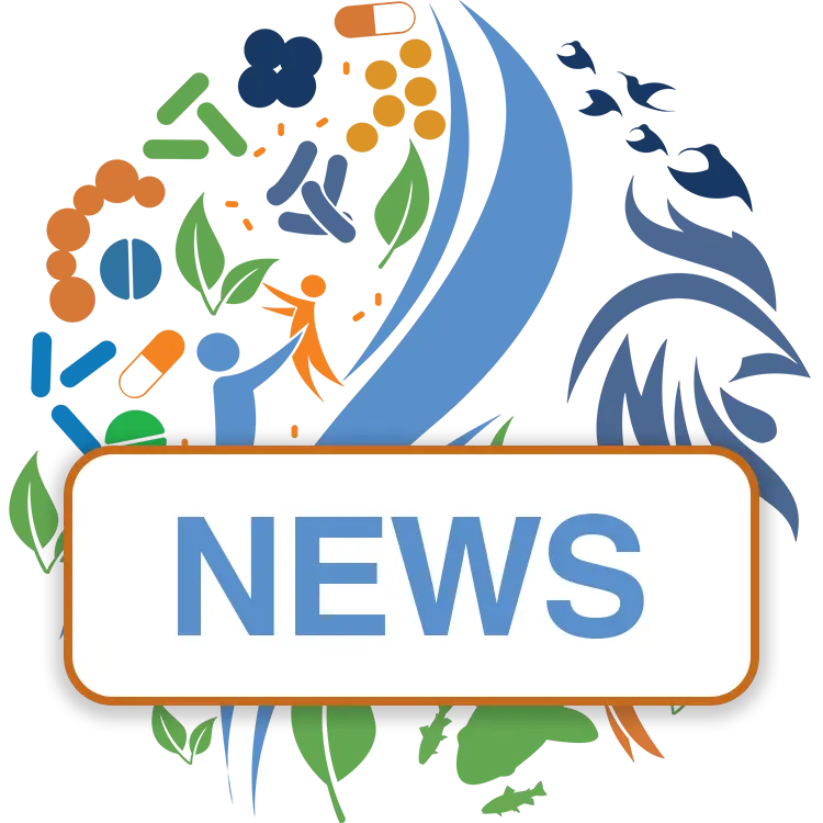 news-fallback